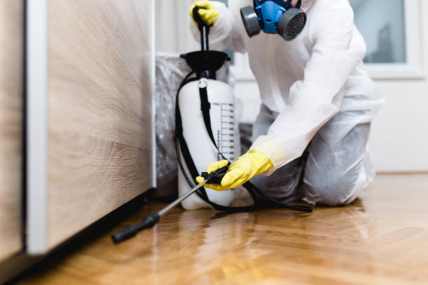Pest Control for Restaurants in New Iberia, LA
