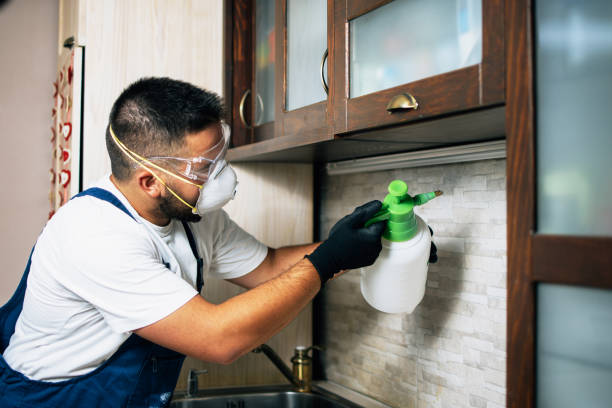 Best Pest Control for Restaurants  in New Iberia, LA