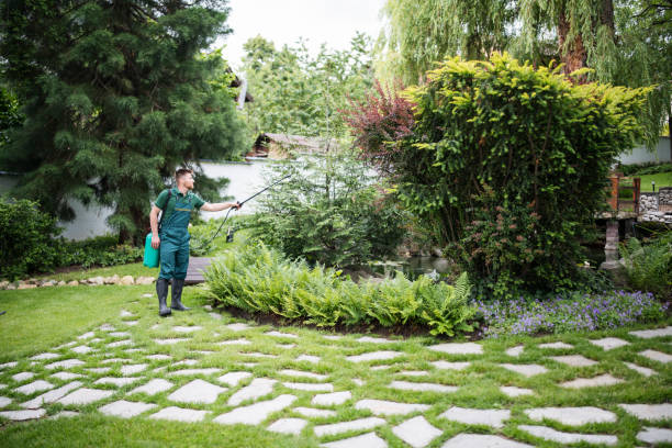 Best Mosquito Control Services  in New Iberia, LA