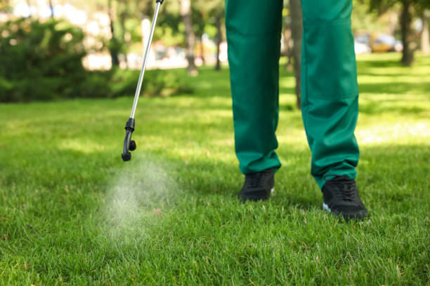 Best Bed Bug Extermination  in New Iberia, LA